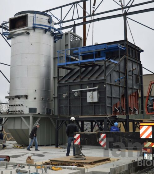 biomass thermal oil