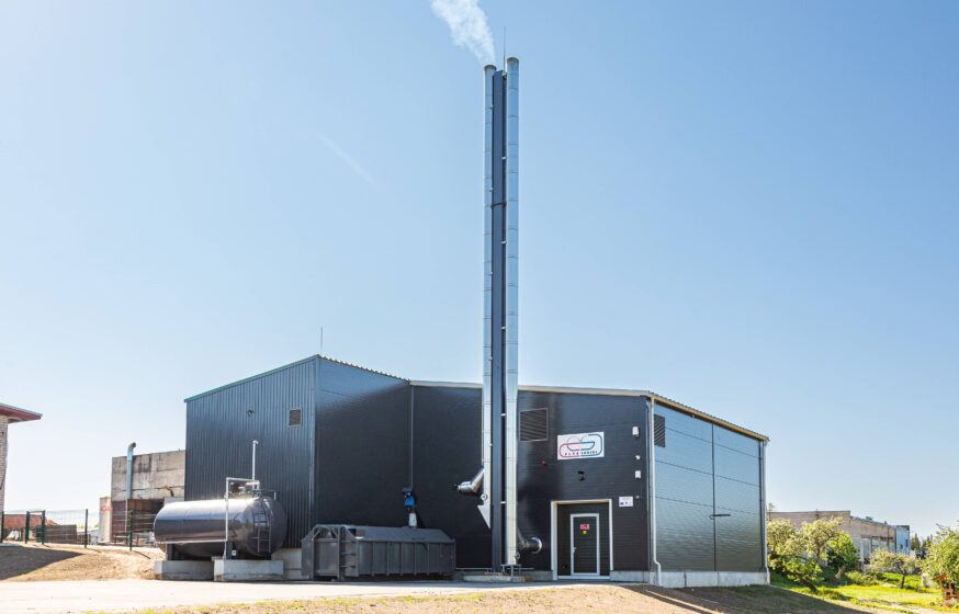 Rannu biomass boiler plant